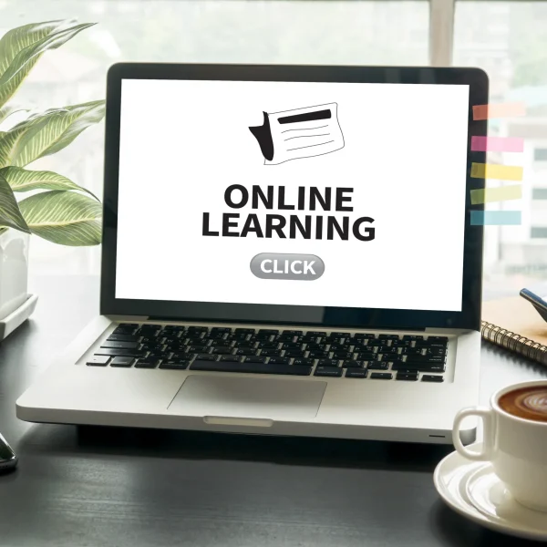 digital services (1)